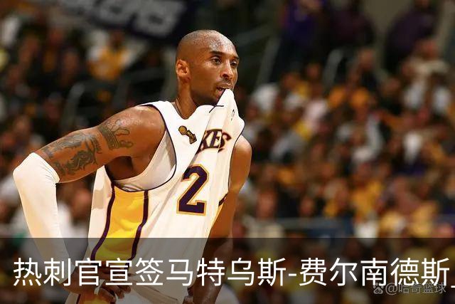 热刺官宣签马特乌斯-费尔南德斯 转会费8500万镑破纪录